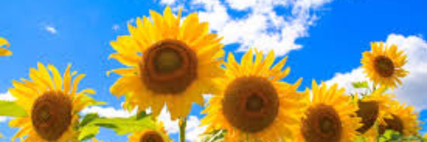 GaelB37's profile banner image
