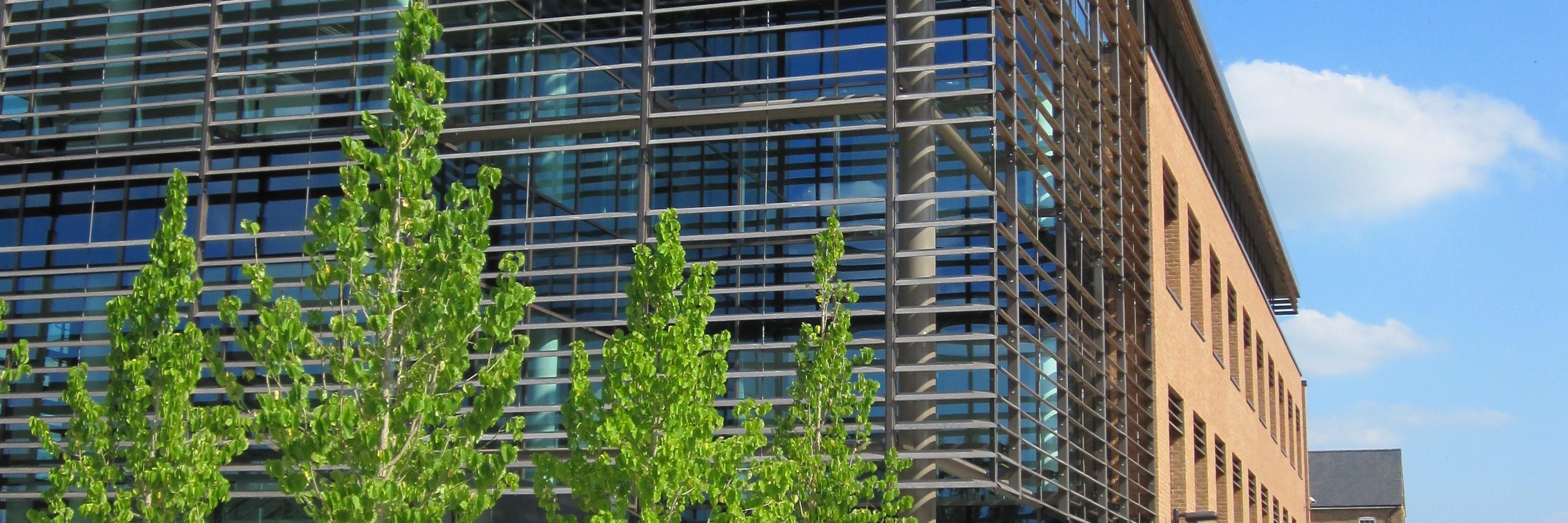 MB4Paradigm's profile banner image