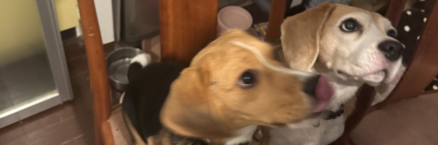 Beagle_0217's profile banner image