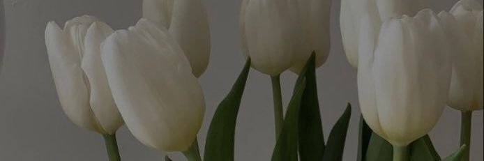 Isabella banner