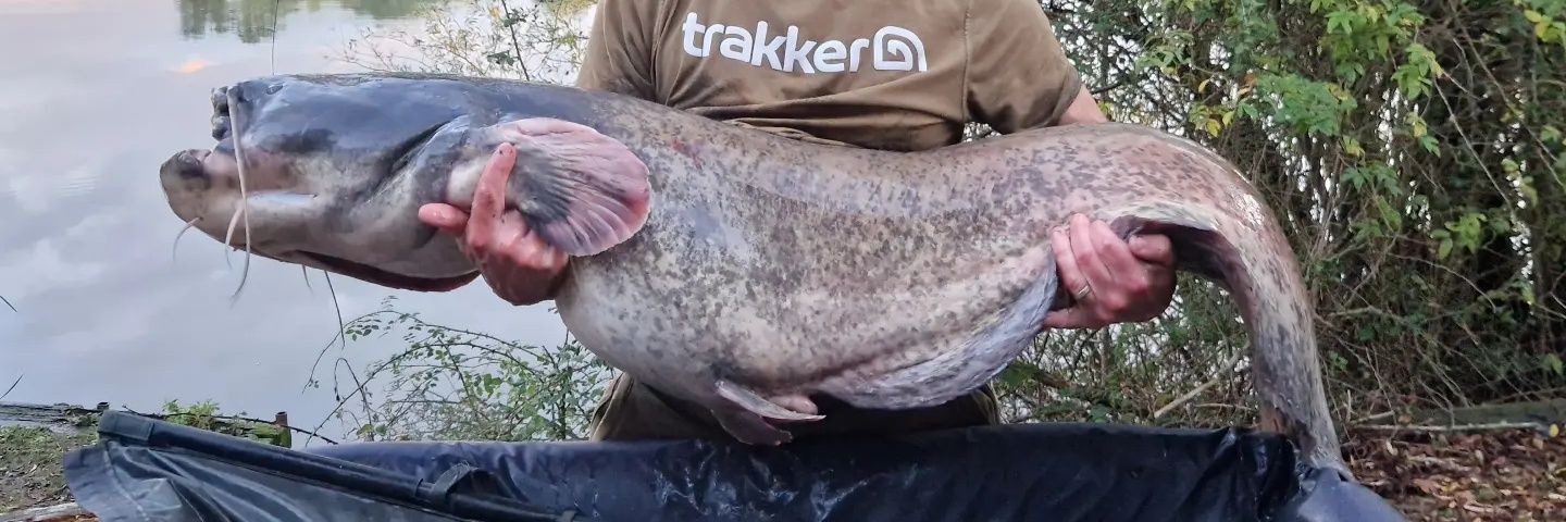 Dave Sacker 🏴󠁧󠁢󠁥󠁮󠁧󠁿 banner