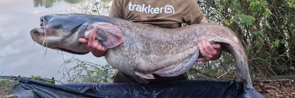 davesacker Profile Banner