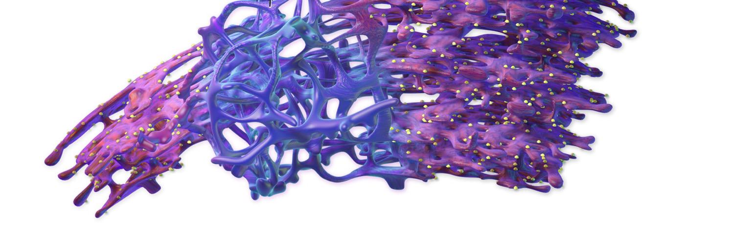 EReticulum_'s profile banner image