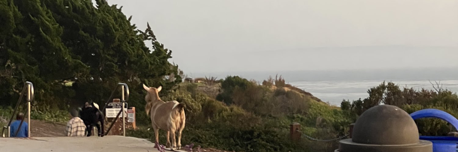youngbasedboss's profile banner image