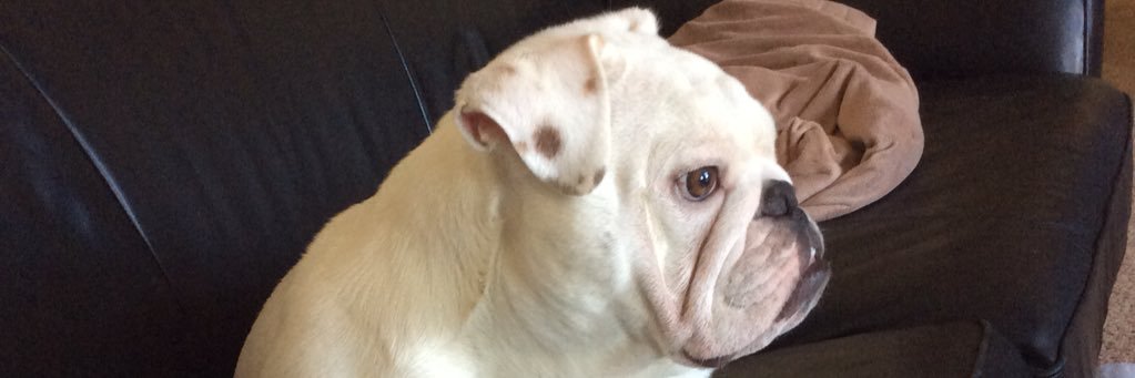 Chad Blumenherst banner