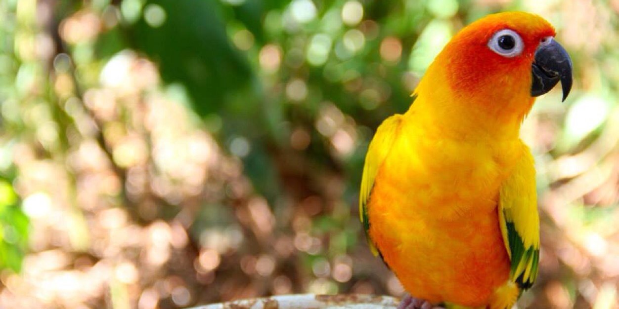 ShaniValencia's profile banner image