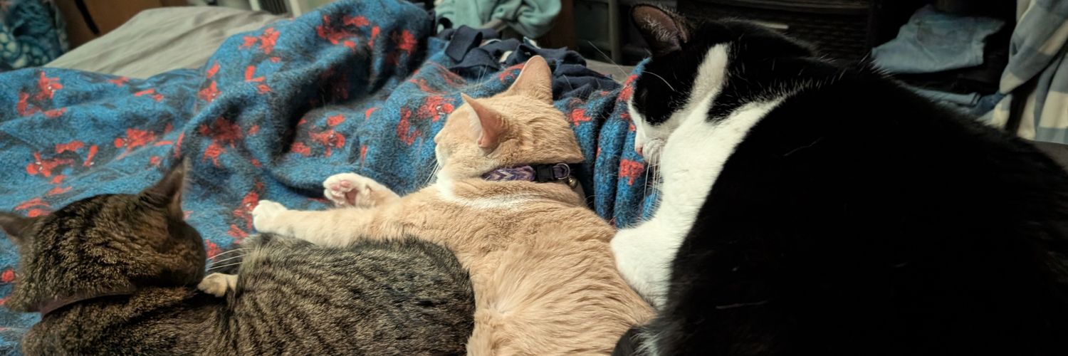 Smidge//Elliott banner