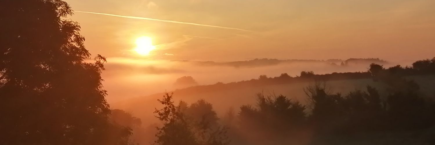 Snarlygog 🐏🐊 banner