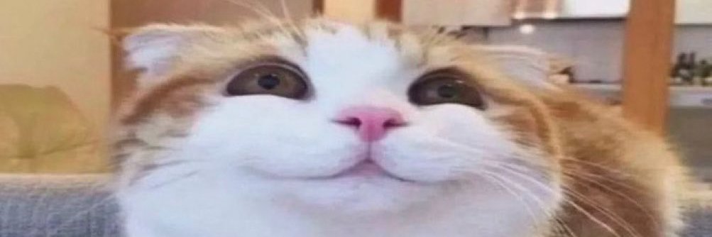 Coco_ETH banner
