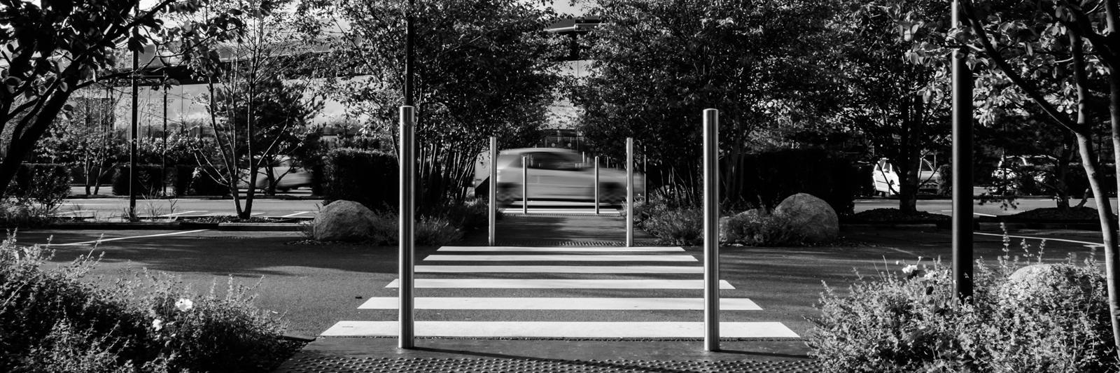 monochromatic24's profile banner image