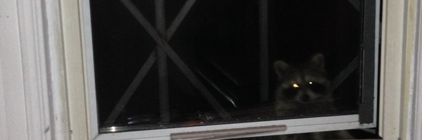 _nutrients_ Profile Banner