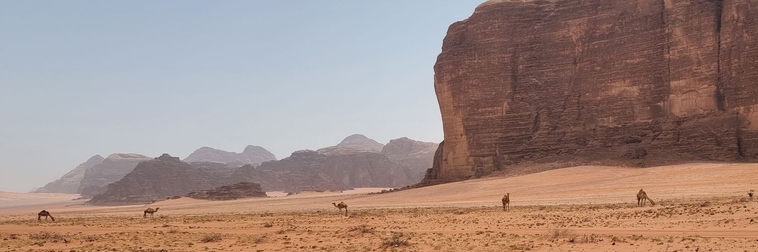 Kariman Mango كريمان منكو banner
