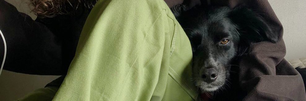 milidesousa's profile banner image