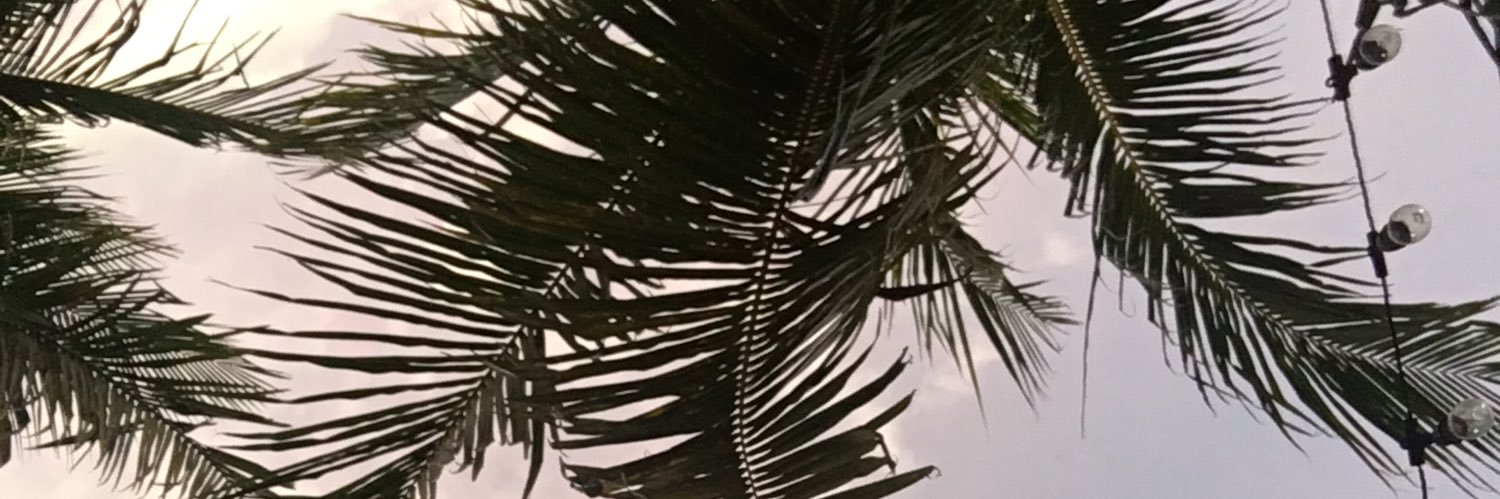 kandreac_'s profile banner image