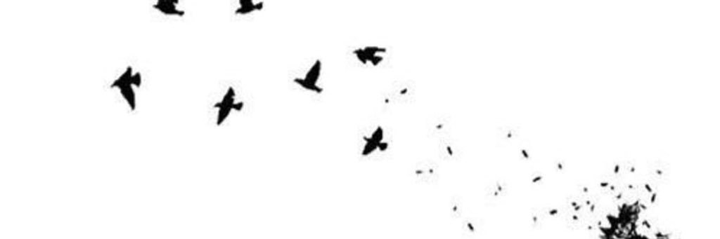 h_azzz's profile banner image