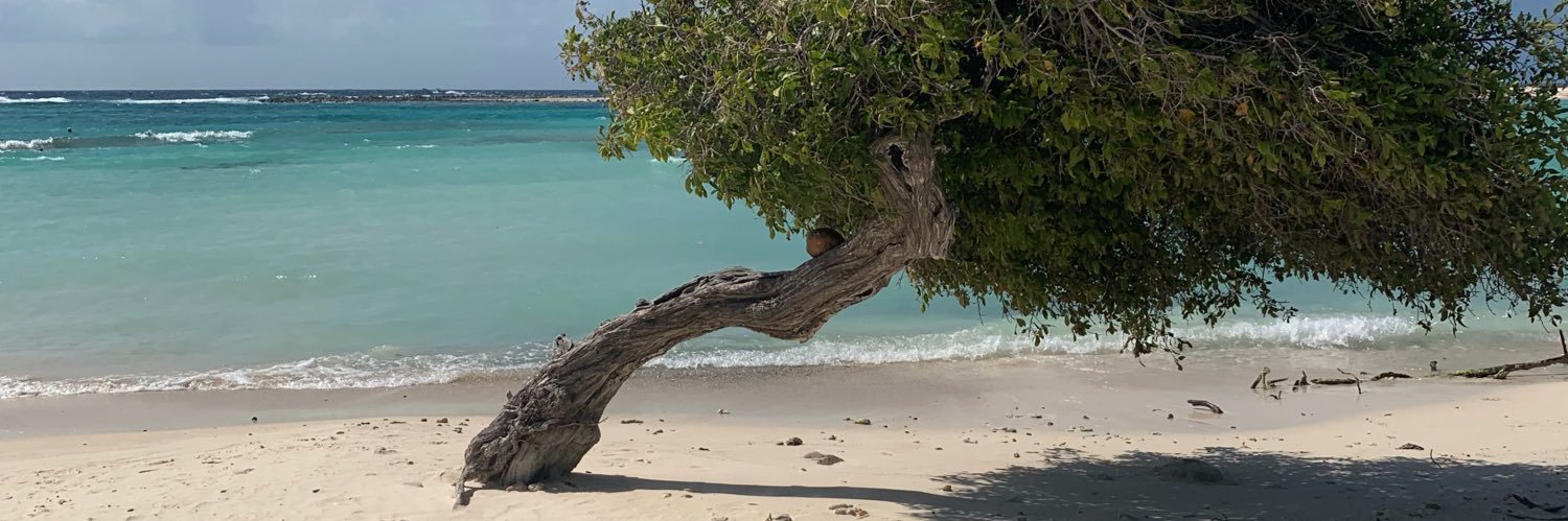 VictoriaaSecrets* banner