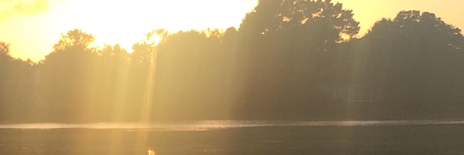 bookbook22's profile banner image