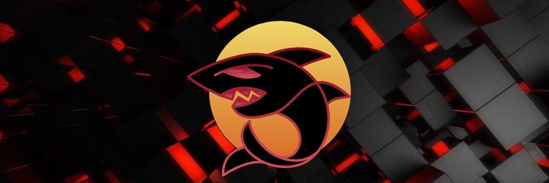 Fede_Shark_py's profile banner image