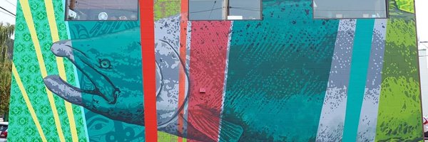 SkeenaWild Profile Banner