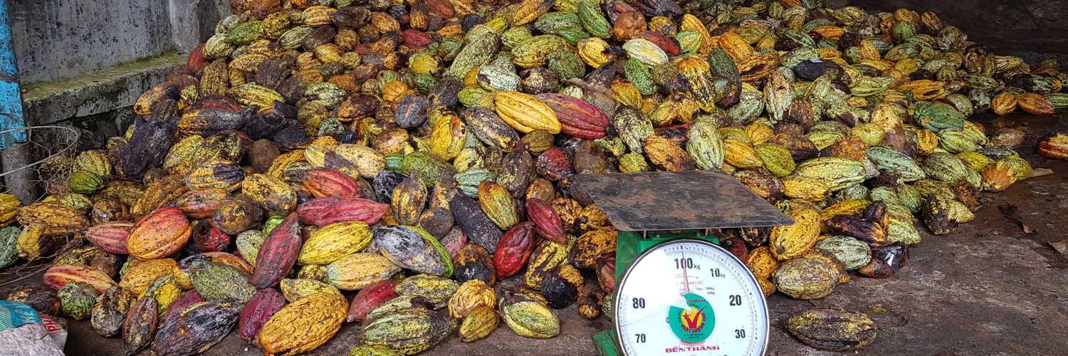 Birgit Gassler banner