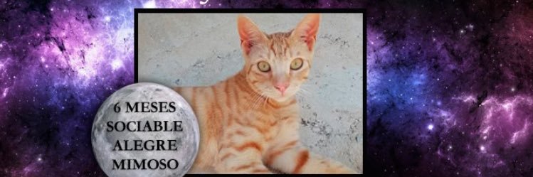 La Colonia de Edu banner