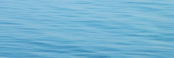 dadobi_'s profile banner image