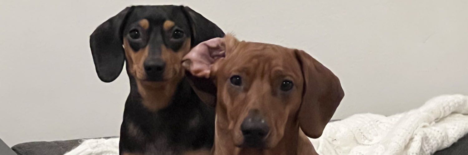 mvttortiz's profile banner image