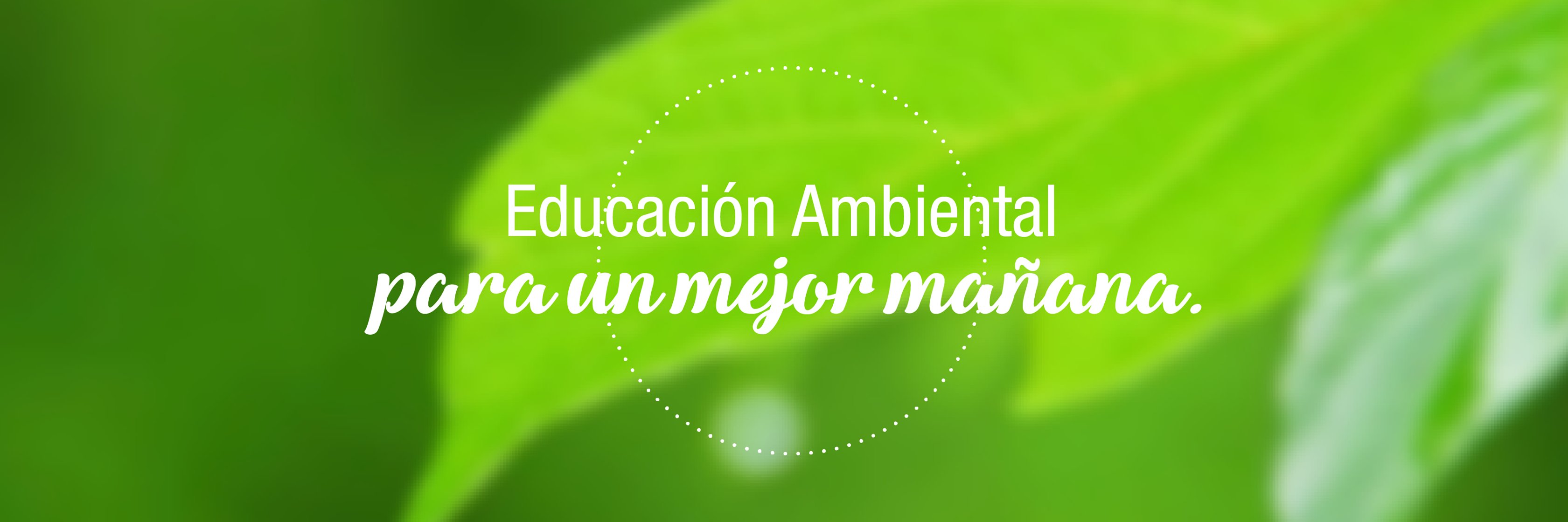 EarthPeru's profile banner image