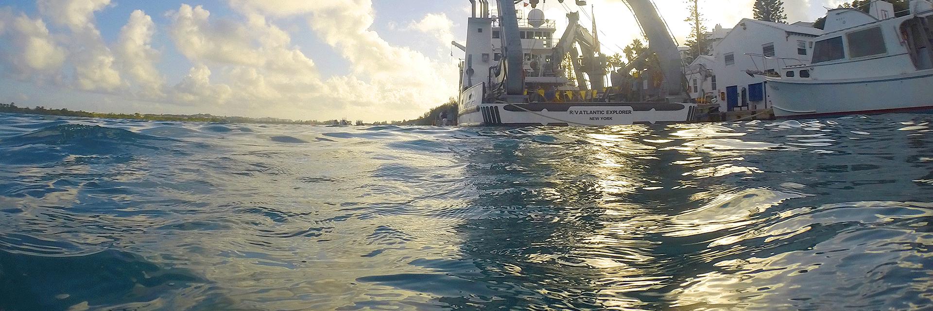 UNC Marine Sciences banner