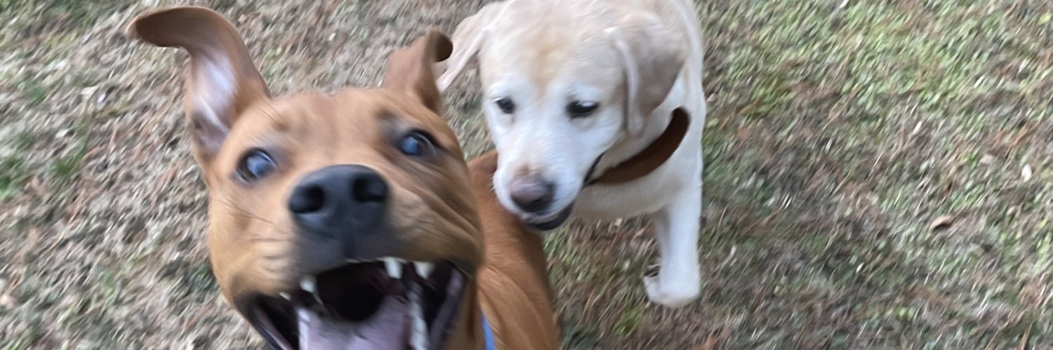 haleybutlerr's profile banner image