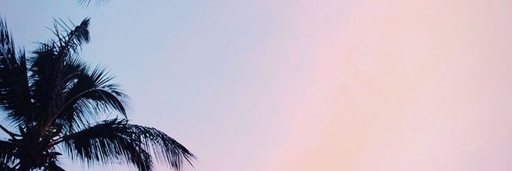 linavalval's profile banner image