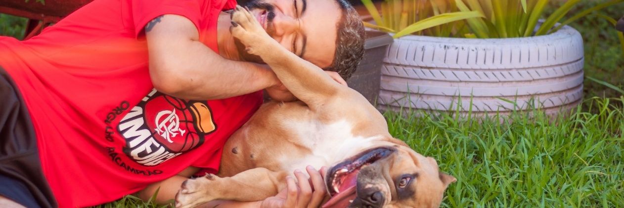 ShallonGomes's profile banner image