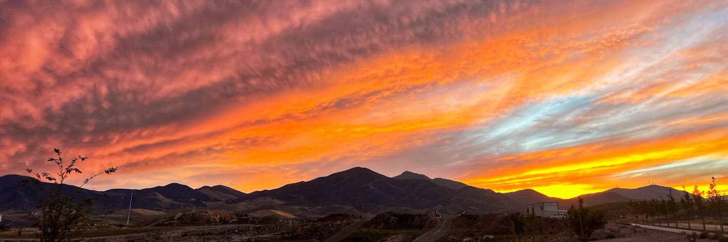 Sara Stottmann banner