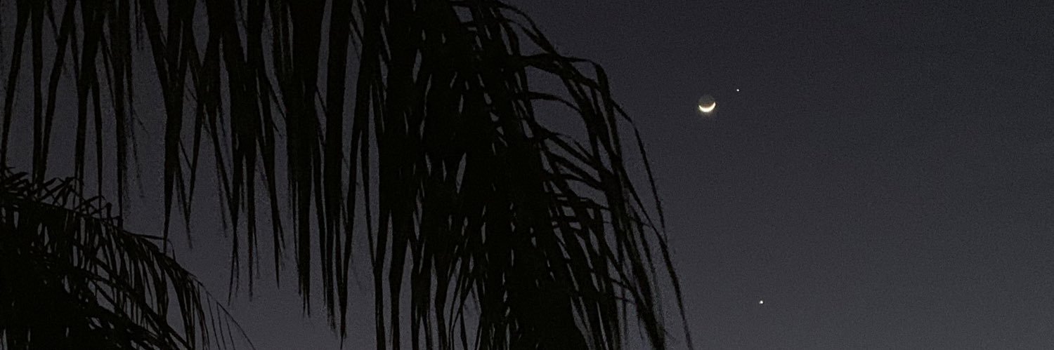 stresanie's profile banner image