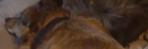 that guy over there banner