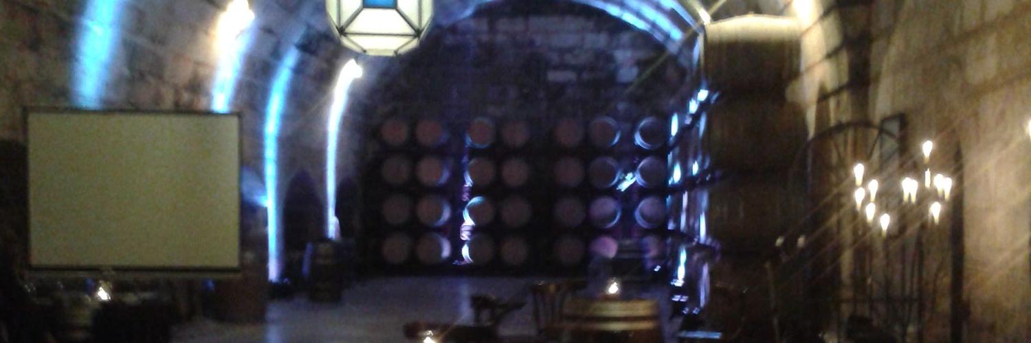 Tobias Seborn banner