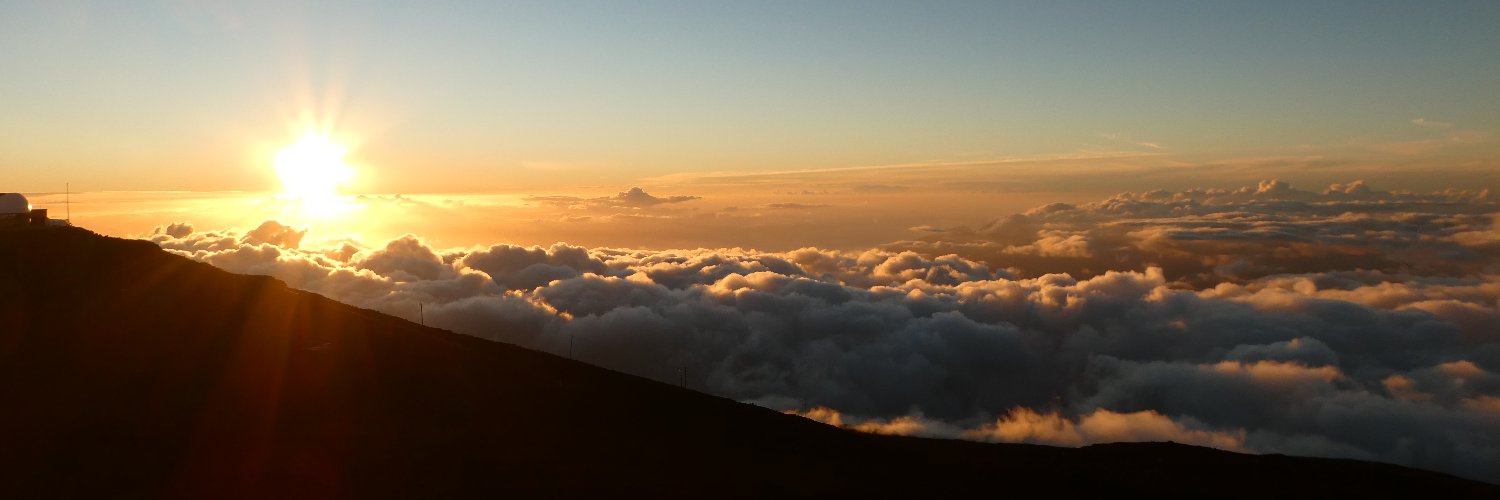 amyleerosen's profile banner image