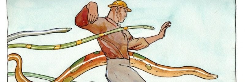 GekoTom's profile banner image