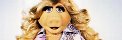Snobbybrokechic's profile banner image