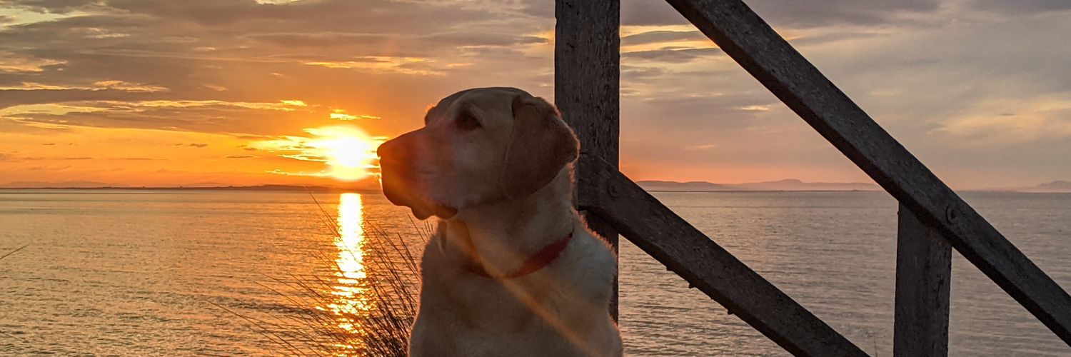 jennie young💙 banner