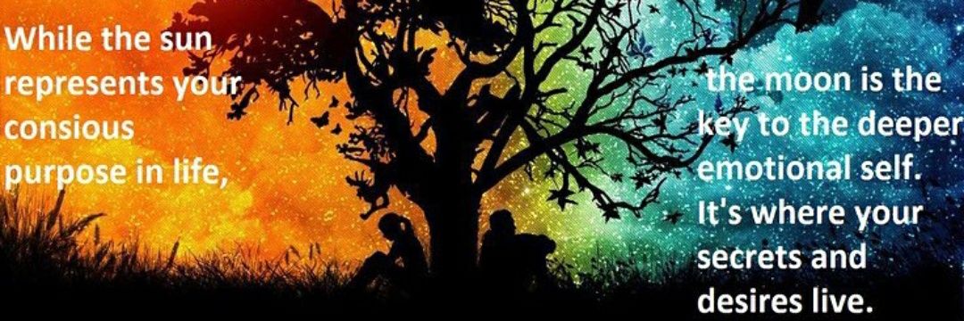 Tabbywolfsong's profile banner image