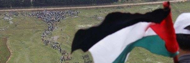 Hanine Hassan حنين's banner