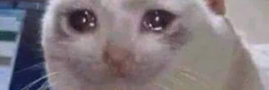 Orlaescuando's profile banner image