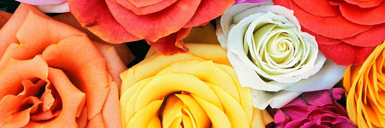 Andrea for Missing banner