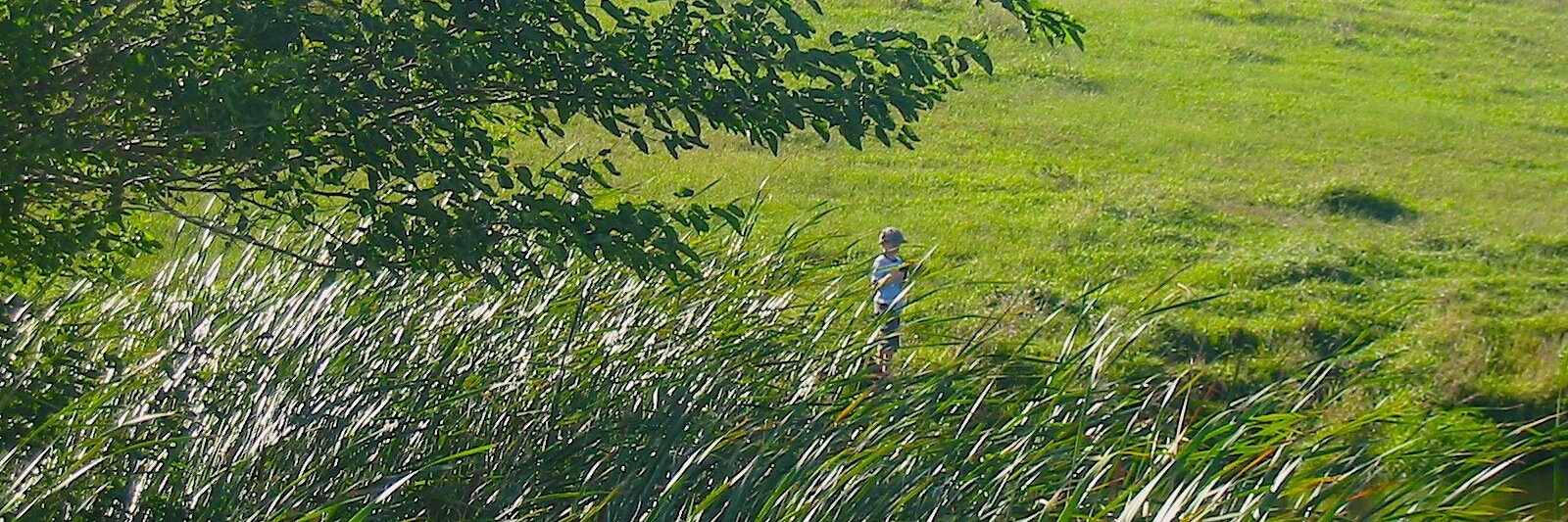 April Heather banner