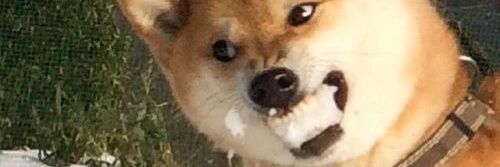 jthipster's profile banner image