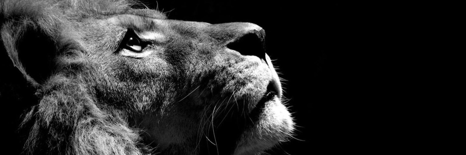 natkelekay's profile banner image