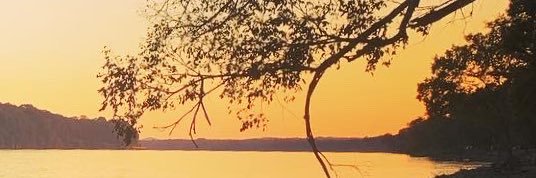 Ryan Nutt banner