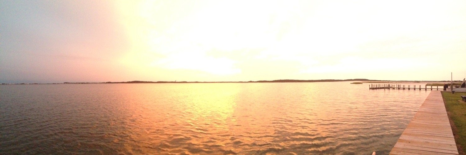 MogFotz's profile banner image