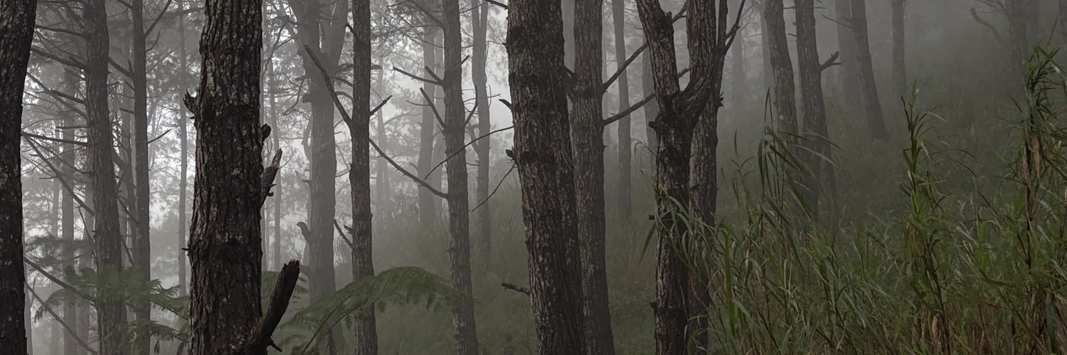 kieli_'s profile banner image